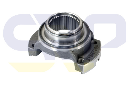 COMPANION FLANGE